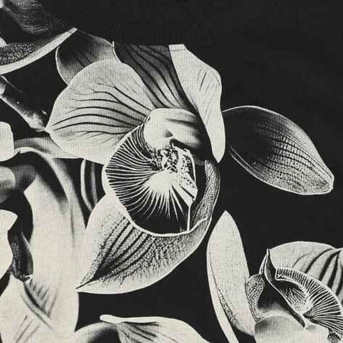 2 Stylish Sweatshirts in Black & Beige | Soft, Cozy & Trendy | Up to 50% Off